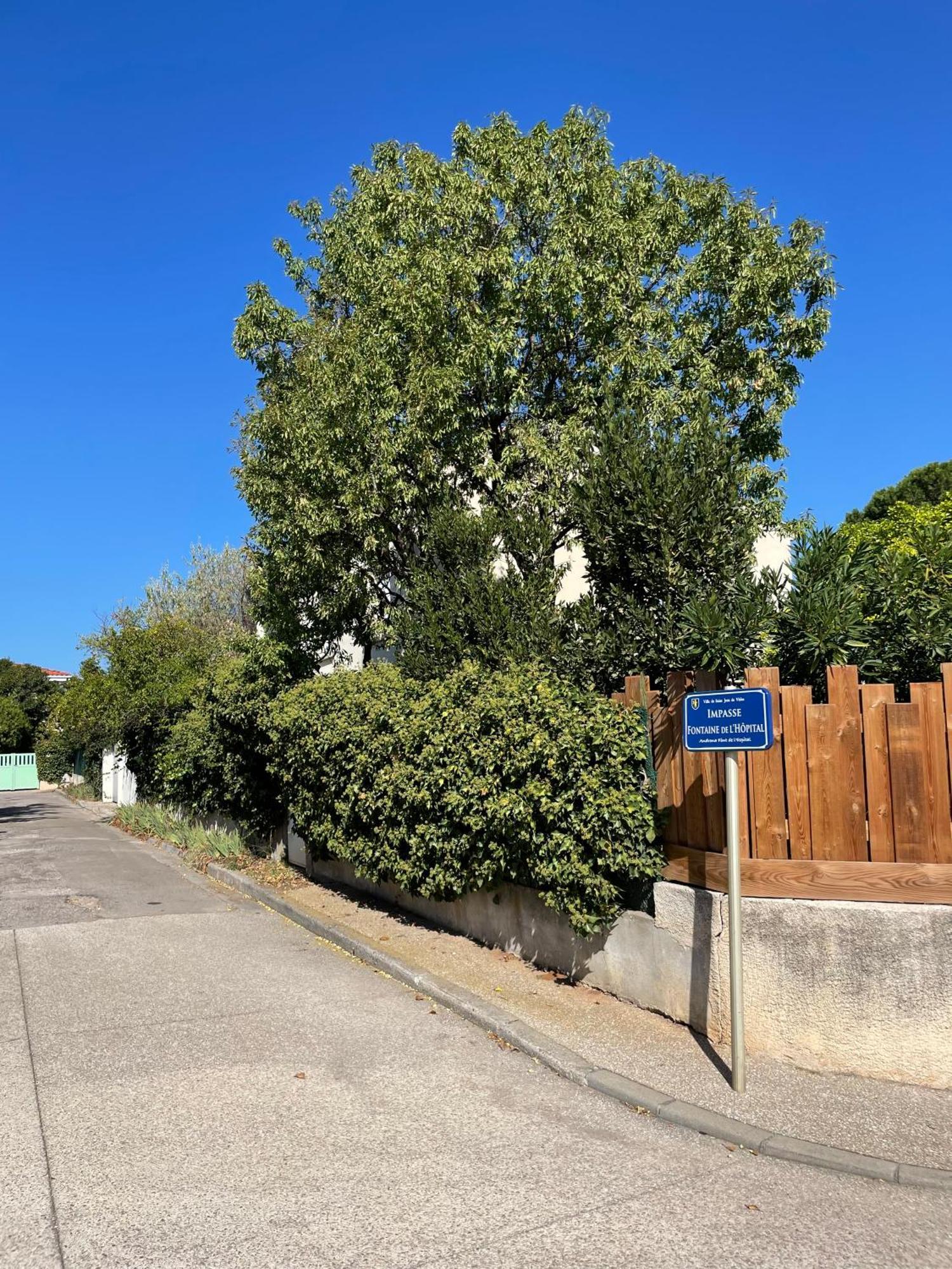 Le Pistachier - Maison Cozy Avec Jardin Privatif Saint-Jean-de-Védas Exterior foto